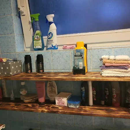 Forest Metta Apartament