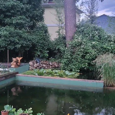 Forest Metta * برلين