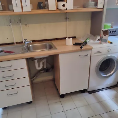 Forest Metta * Berlin