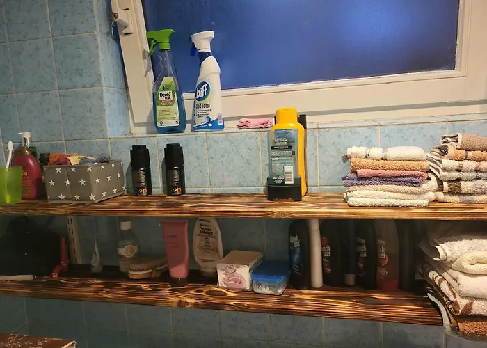 Forest Metta Apartamento